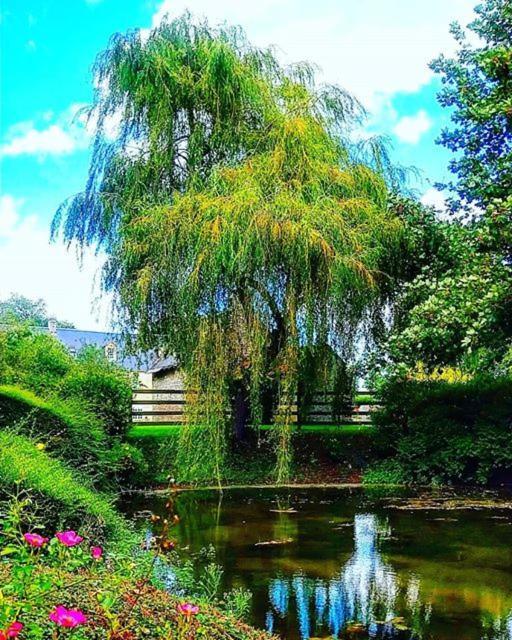 Hotel Le Manoir De Mathan Crepon A La Campagne 5 Mn D'Arromanches Et 10 Mn De Bayeux מראה חיצוני תמונה